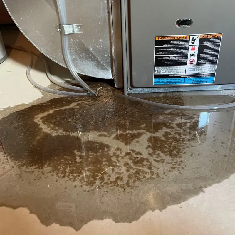 Pipe Burst and Leak Restoration in Nichols Hills, OK