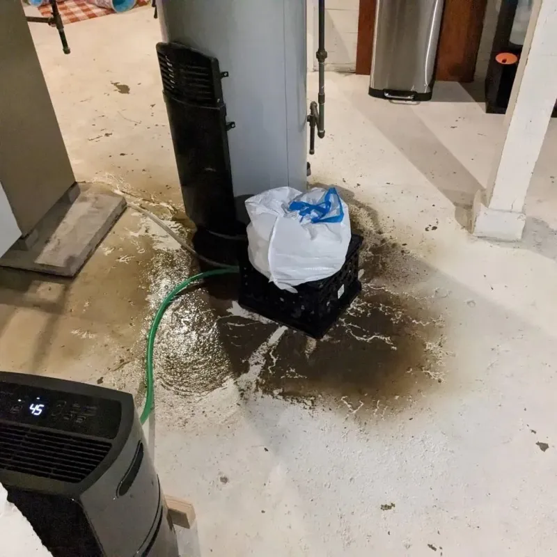 Sewage Backup Cleanup Service in Nichols Hills, OK